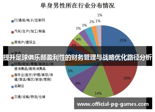 提升足球俱乐部盈利性的财务管理与战略优化路径分析