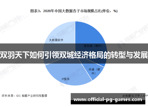 双羽天下如何引领双城经济格局的转型与发展