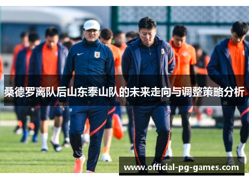 桑德罗离队后山东泰山队的未来走向与调整策略分析