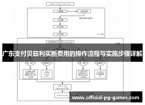 广东支付贝兹利买断费用的操作流程与实施步骤详解