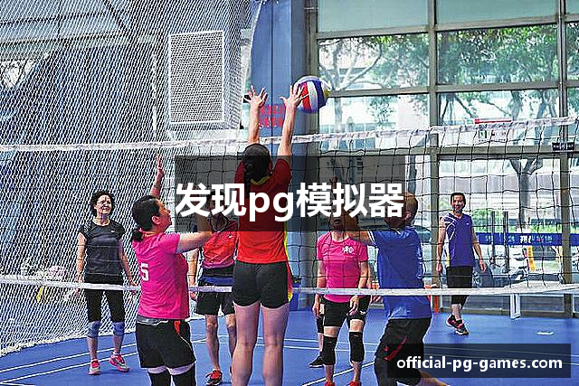 发现pg模拟器
